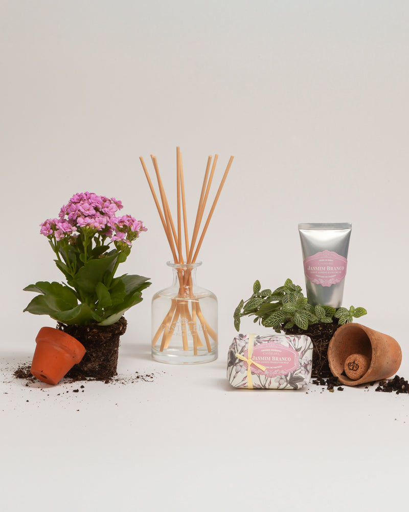 Coffret Jasmim Branco - 1-1535