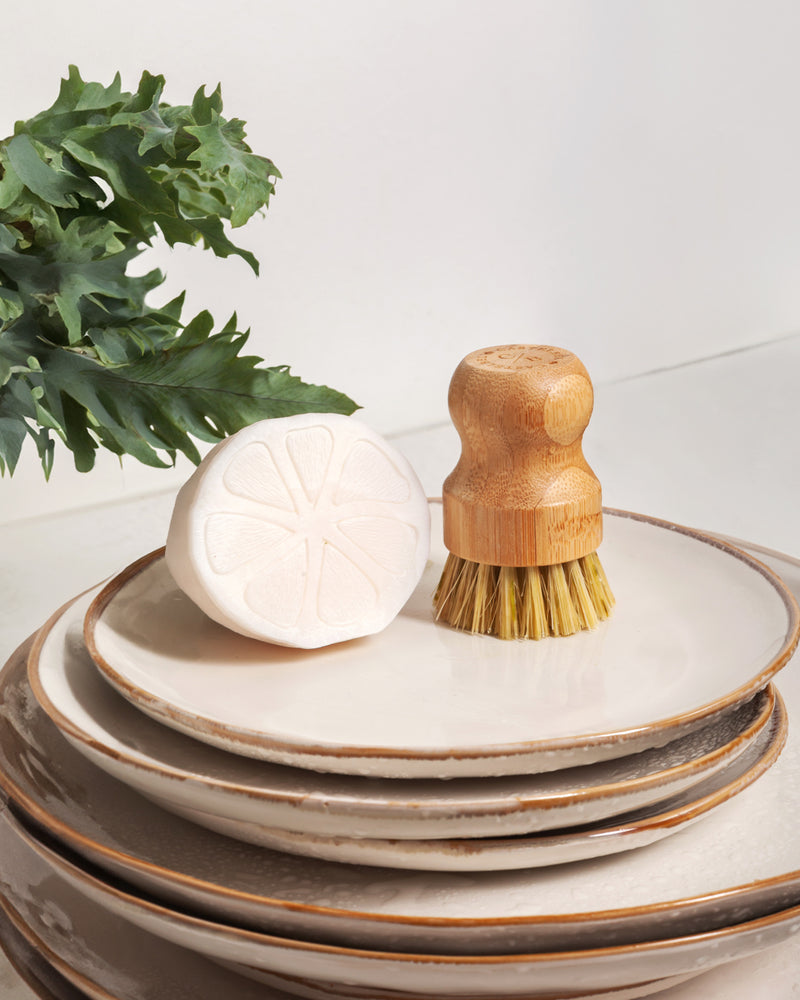 Coffret Sabão para Louça & Escova de Bambu Sardinha