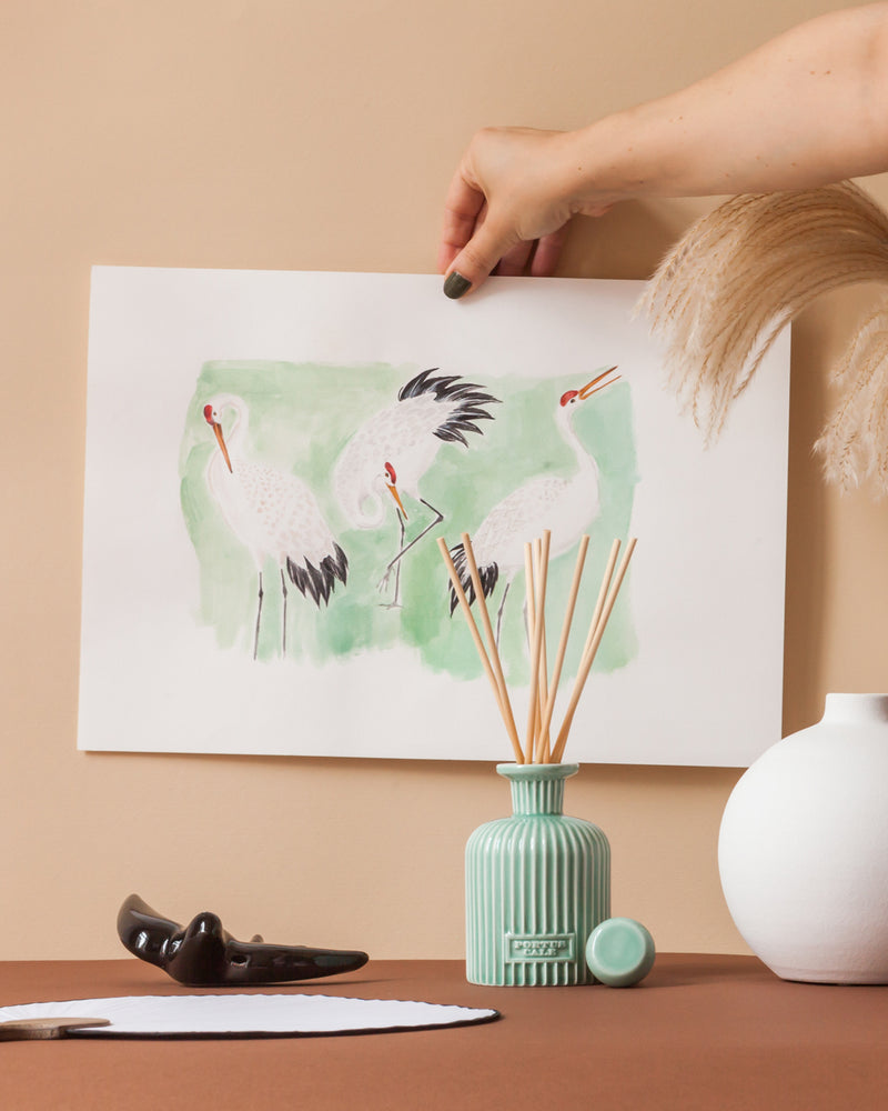 Difusor de Fragancias White Crane 250ml