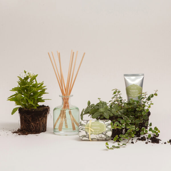 Verbena Gift Set - Image 2